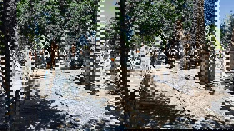 imagen-cuerpo imagen-cuerpo