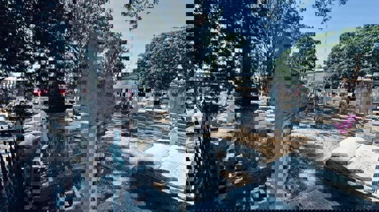 imagen-cuerpo imagen-cuerpo