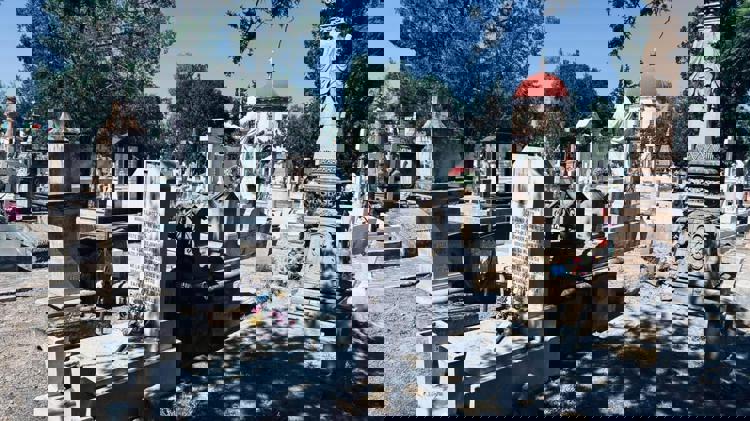 imagen-cuerpo imagen-cuerpo