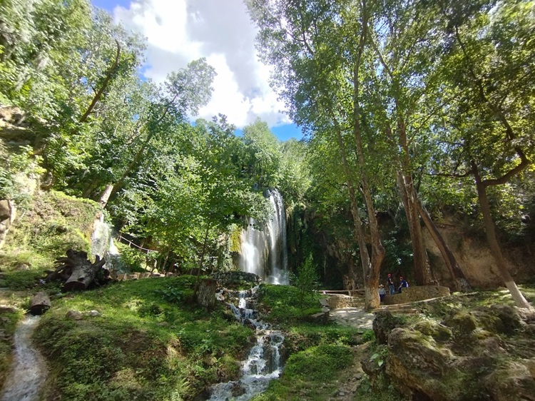 imagen-cuerpo imagen-cuerpo