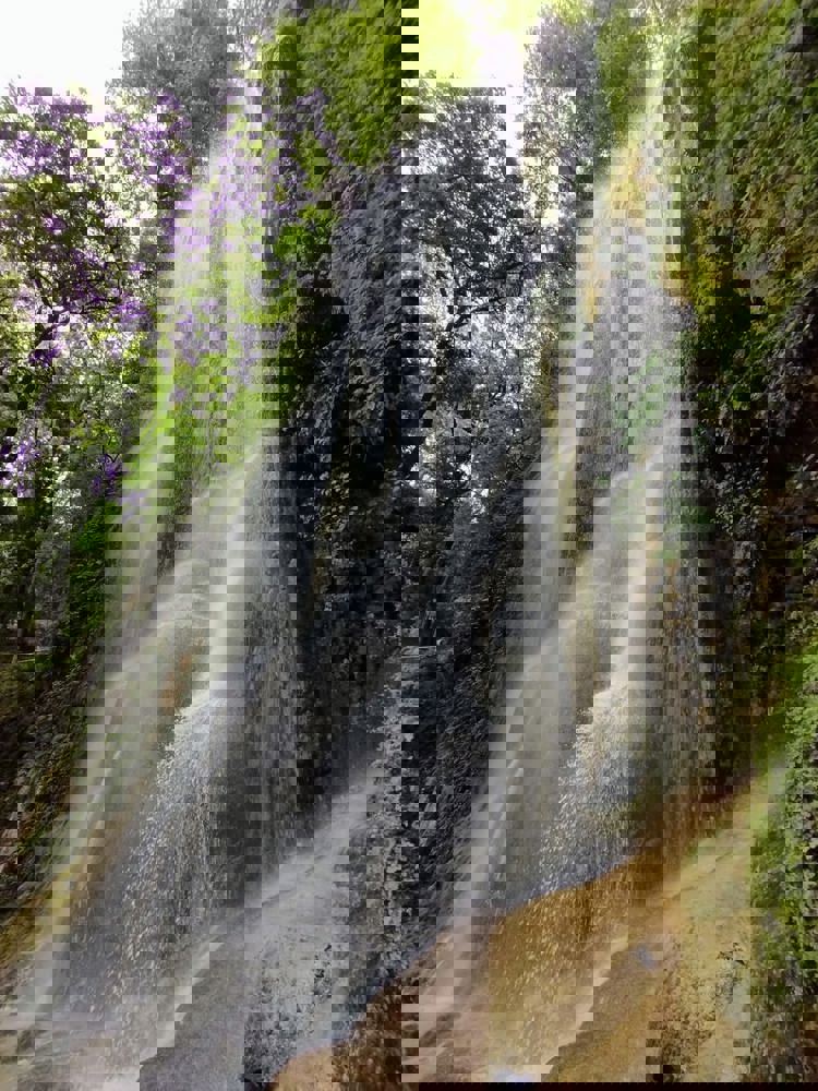 imagen-cuerpo imagen-cuerpo