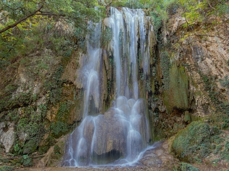 imagen-cuerpo imagen-cuerpo