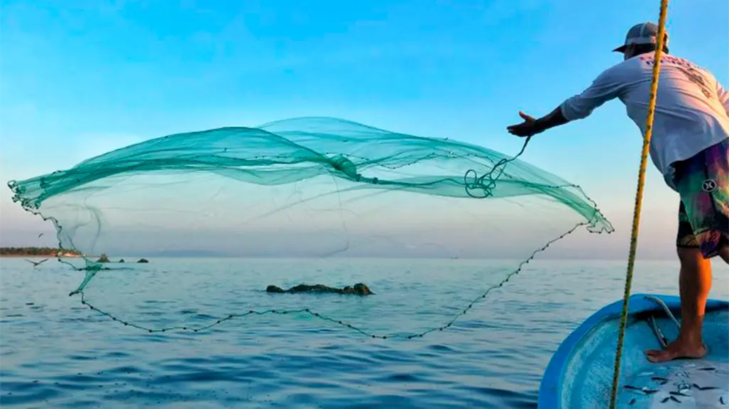 Seguro de vida de 100 mil pesos para pescadores en BCS: requisitos para inscribirte