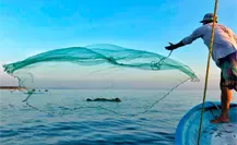 Seguro de vida de 100 mil pesos para pescadores en BCS: requisitos para inscribirte Seguro de vida de 100 mil pesos para pescadores en BCS: requisitos para inscribirte