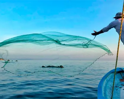 Seguro de vida de 100 mil pesos para pescadores en BCS: requisitos para inscribirte