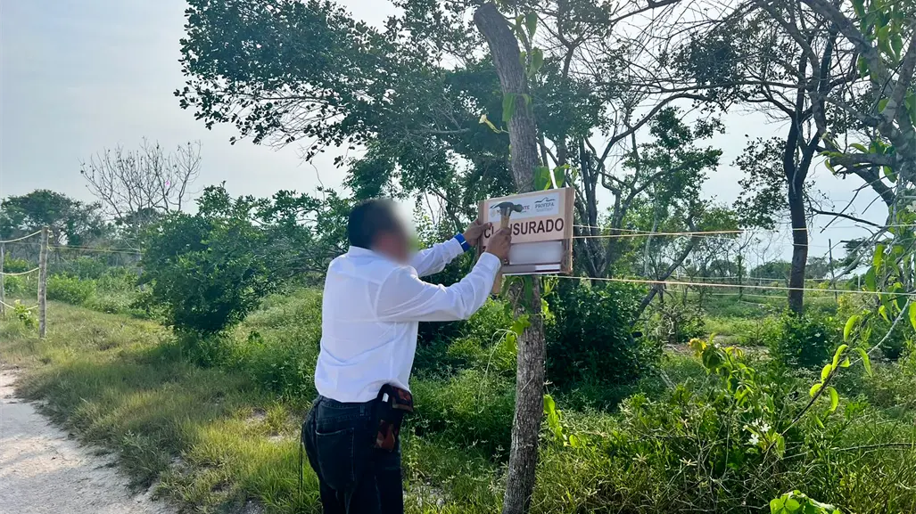 Profepa clausura obras de proyecto inmobiliario en Mérida por cambio de uso de suelo ilegal