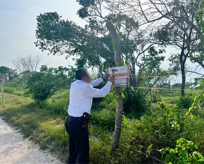 Profepa clausura obras de proyecto inmobiliario en Mérida por cambio de uso de suelo ilegal