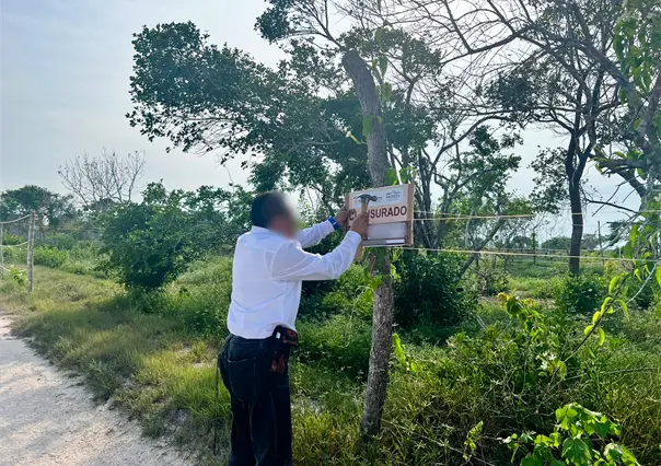 Profepa clausura obras de proyecto inmobiliario en Mérida por cambio de uso de suelo ilegal
