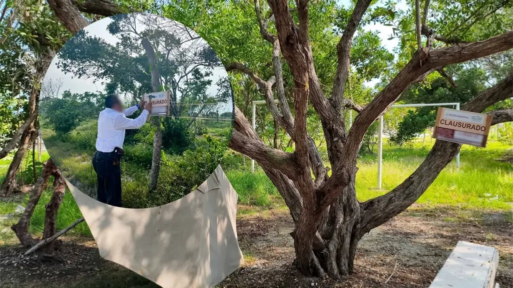 La Profepa denuncia daños a manglares y humedales costeros en la Reserva de la Biosfera Ría Celestún, Yucatán