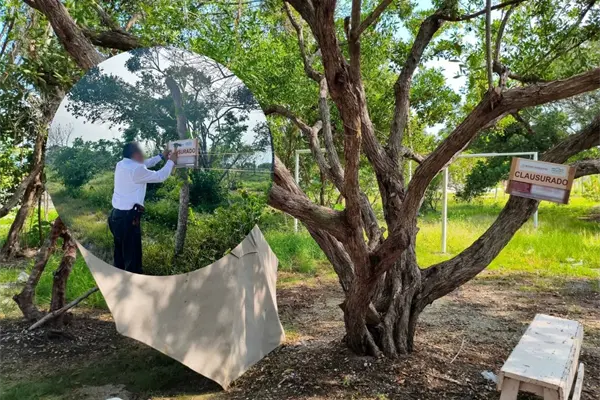 La Profepa denuncia daños a manglares y humedales costeros en la Reserva de la Biosfera Ría Celestún, Yucatán La Profepa denuncia daños a manglares y humedales costeros en la Reserva de la Biosfera Ría Celestún, Yucatán
