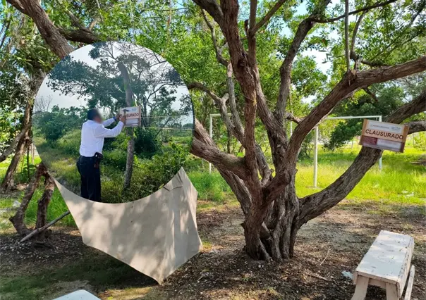 La Profepa denuncia daños a manglares y humedales costeros en la Reserva de la Biosfera Ría Celestún, Yucatán