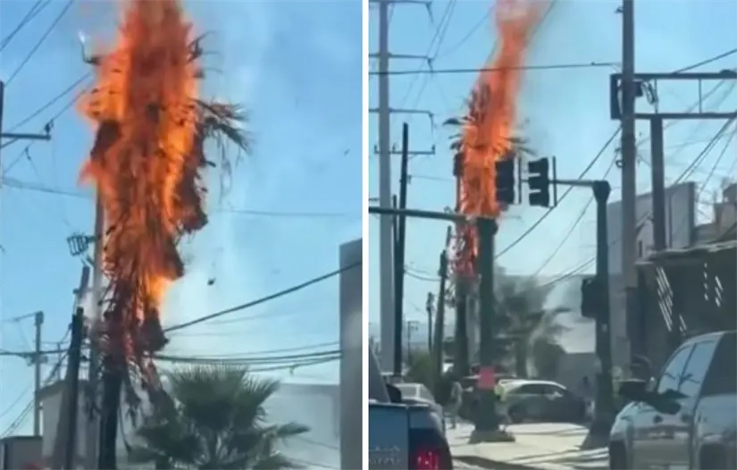 imagen recuadro Foto: Facebook / SOS Rotativo