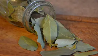 Ritual de laurel para tener bienestar emocional todo el mes de noviembre