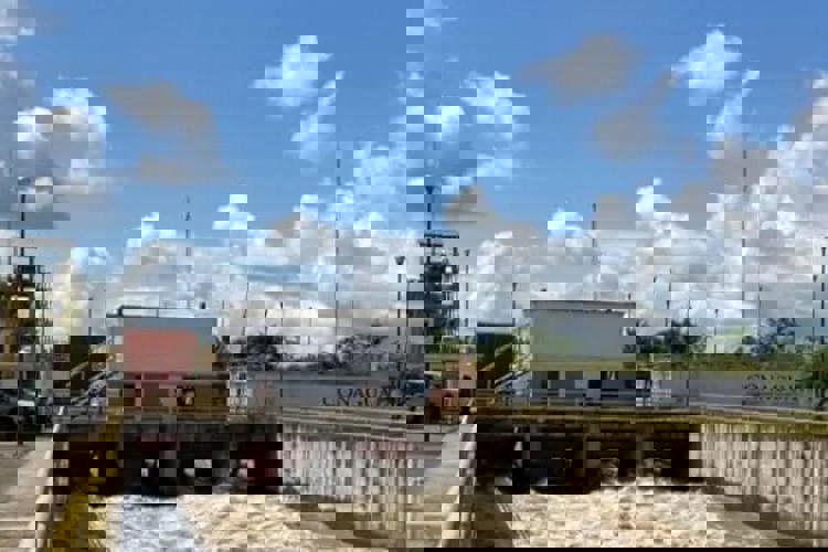 imagen-cuerpo imagen-cuerpo