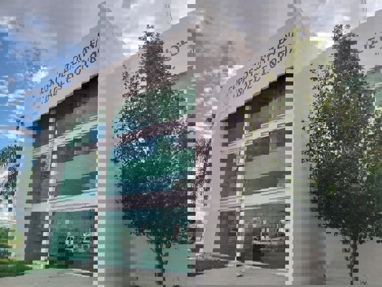 imagen-cuerpo imagen-cuerpo