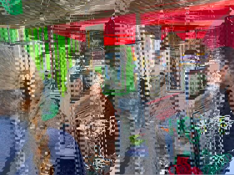 imagen-cuerpo imagen-cuerpo