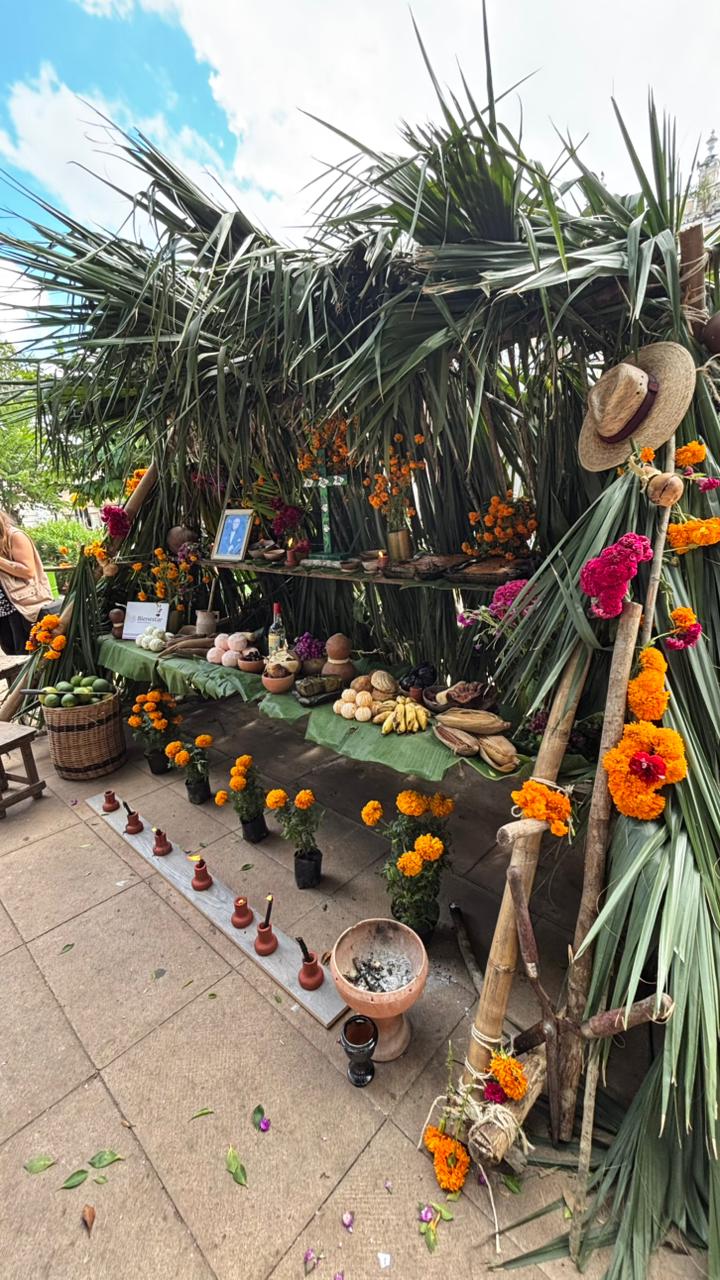 imagen-cuerpo imagen-cuerpo