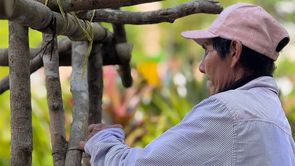 Casitas mayas en Mérida: tradición del Janal Pixán que honra a los difuntos con altares y arquitectura ancestral