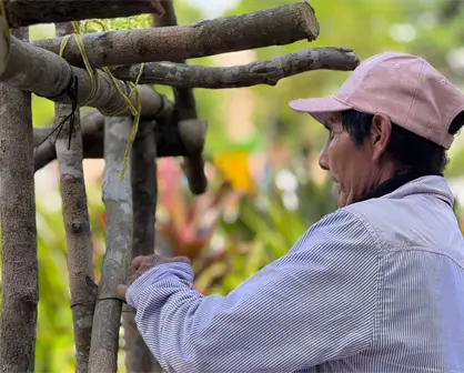Casitas mayas en Mérida: tradición del Janal Pixán que honra a los difuntos con altares y arquitectura ancestral