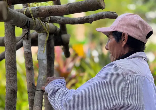 Casitas mayas en Mérida: tradición del Janal Pixán que honra a los difuntos con altares y arquitectura ancestral