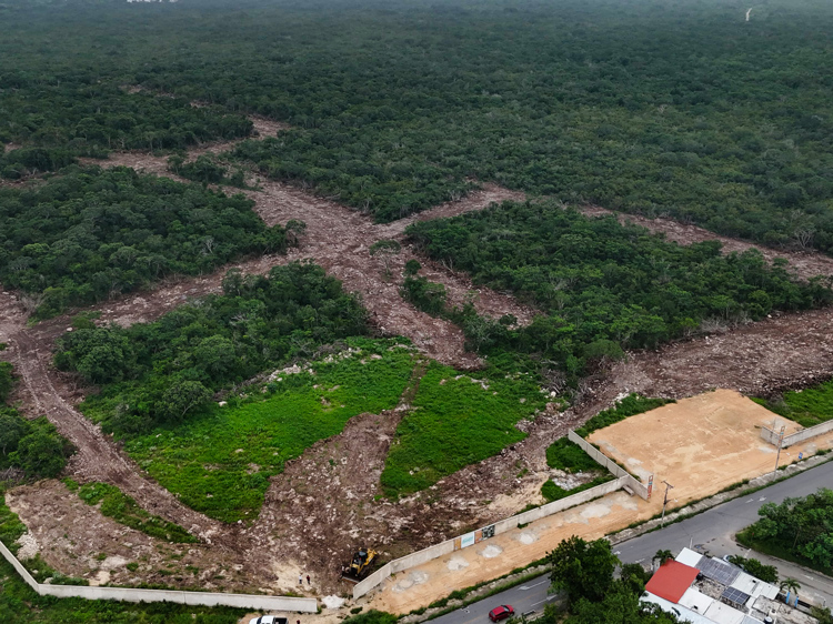 imagen-cuerpo imagen-cuerpo