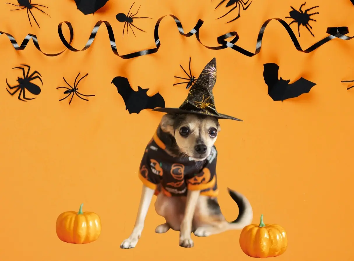 Las imágenes con mayor cantidad de “Me gusta” serán reconocidas el día de la premiación. Foto: Canva.