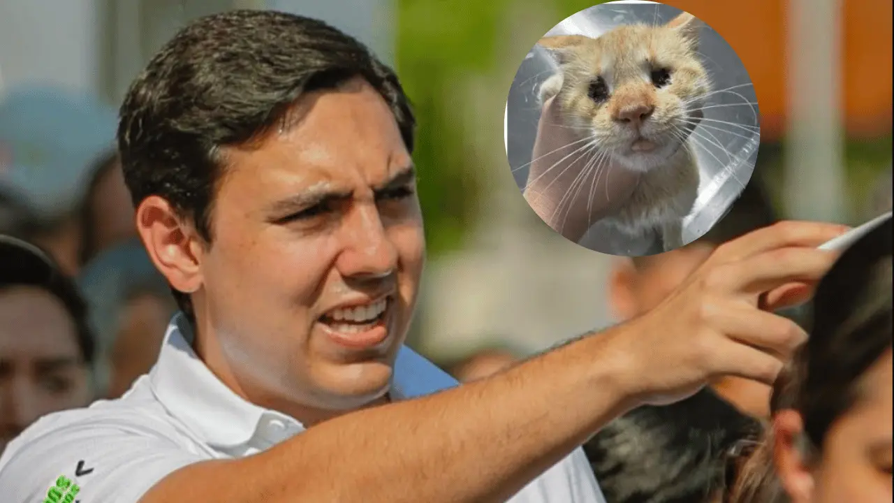 El alcalde César Garza Arredondo confirmó que el equipo municipal actuó. Foto: Canva.