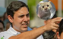 Rescatan a gatita sin ojos en Apodaca; autoridades investigan posible maltrato animal