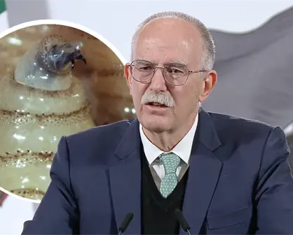 Agricultura descarta fecha para reanudar exportaciones de ganado a EU por gusano barrenador