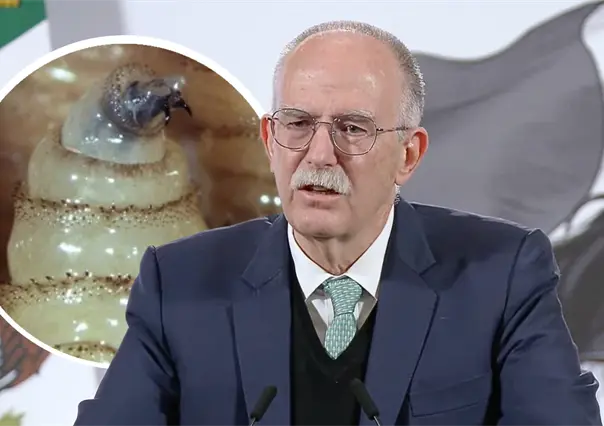 Agricultura descarta fecha para reanudar exportaciones de ganado a EU por gusano barrenador