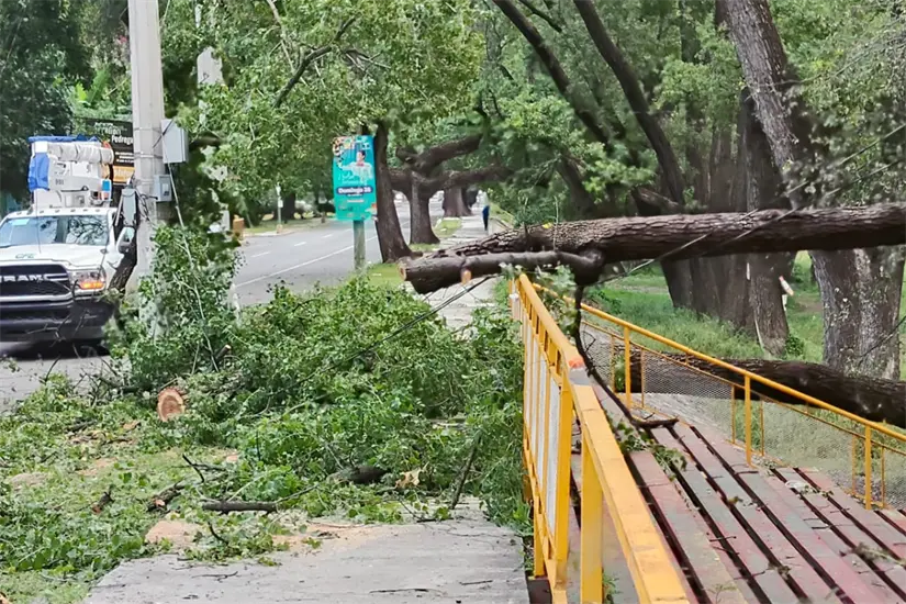 imagen recuadro Árbol caído en la margen del Río San Marcos, lo que provoco cierre de vialidad | Foto: FB