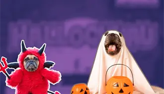 Disfraza a tu lomito y vive la noche más perrorrífica en Apodaca