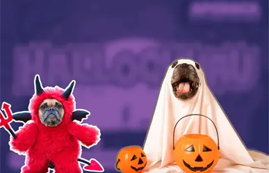 Disfraza a tu lomito y vive la noche más perrorrífica en Apodaca