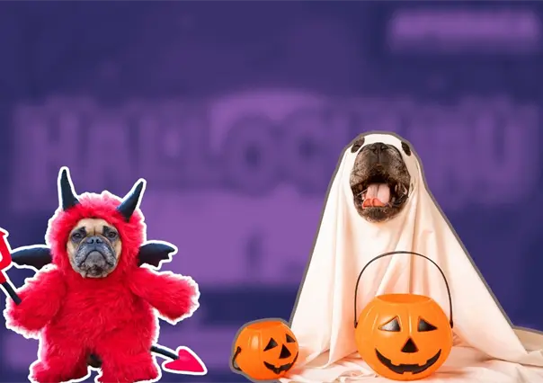 Disfraza a tu lomito y vive la noche más perrorrífica en Apodaca