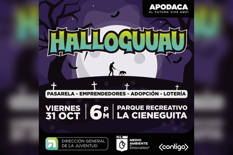 imagen-cuerpo imagen-cuerpo