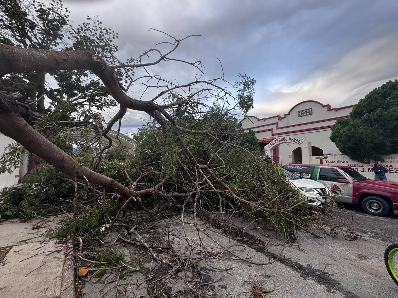 Frente Frío número 11 causa daños en Ciudad Victoria