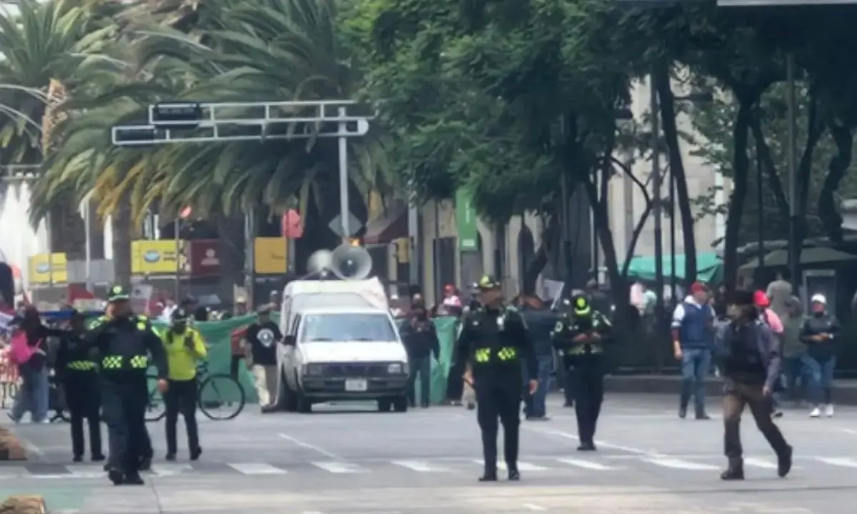 Marcha en CDMX. Foto: X (@OVIALCDMX)