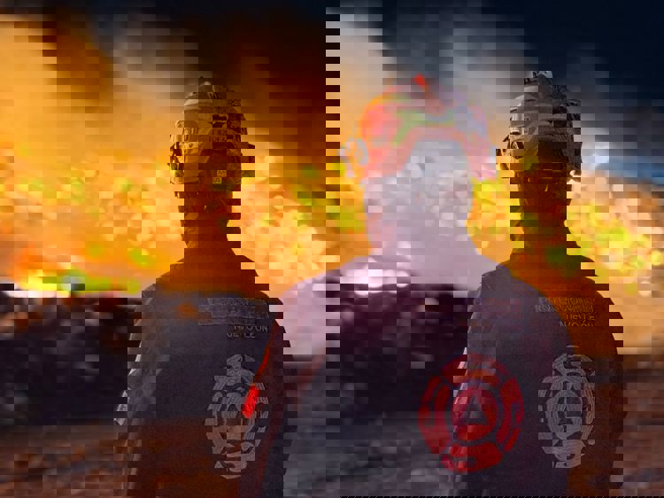 imagen-cuerpo imagen-cuerpo