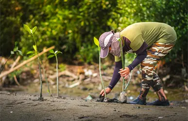 C&oacute;mo participar en la jornada de reforestaci&oacute;n de la UAdeC en la Sierra de Arteaga 