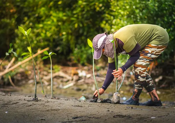 Cómo participar en la jornada de reforestación de la UAdeC en la Sierra de Arteaga 