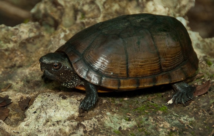 imagen-cuerpo imagen-cuerpo