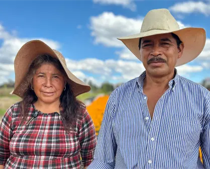 Cempasúchil en CDMX: Imelda y Víctor, el matrimonio de productores que innova con sus flores en Día de Muertos