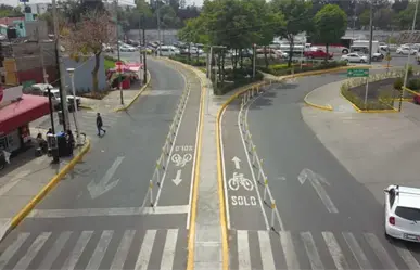 Nido de ave tapa boiler en Iztacalco y provoca intoxicación de mujer y sus dos perritas