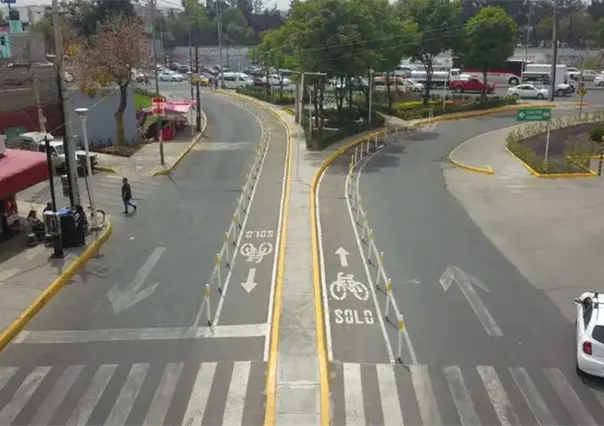 Nido de ave tapa boiler en Iztacalco y provoca intoxicación de mujer y sus dos perritas