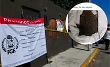 Escándalo en Chetumal por un crematorio de animales que habría entregado tierra a dueños de mascotas Escándalo en Chetumal por un crematorio de animales que habría entregado tierra a dueños de mascotas