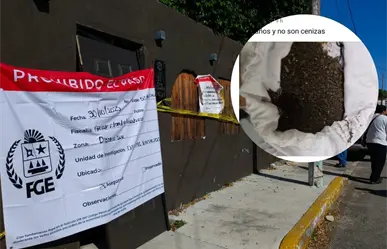 Escándalo en Chetumal por un crematorio de animales que habría entregado tierra a dueños de mascotas