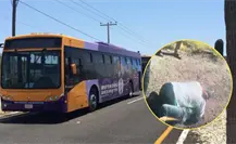 VIDEO | Ruta del Desierto: pasajero acusa a chofer de golpearlo tras discusión por pasaje