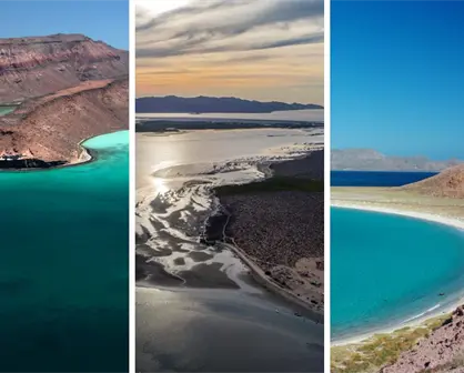 ¿Sabías que hay islas protegidas en Baja California Sur? Aquí te contamos cuáles son