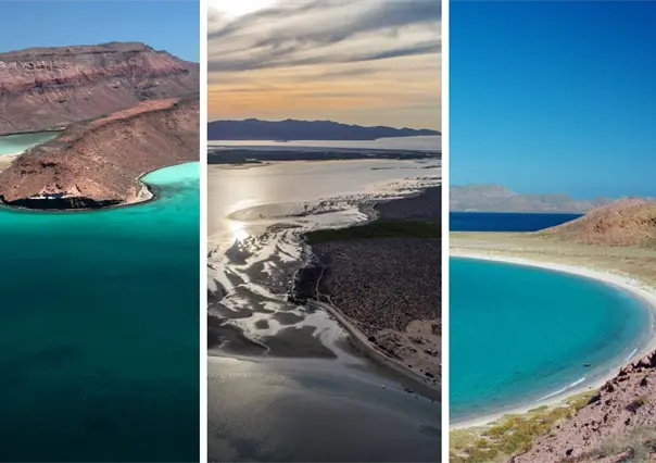 ¿Sabías que hay islas protegidas en Baja California Sur? Aquí te contamos cuáles son
