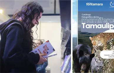 Presentan primer catálogo de 154 especies mamíferas de Tamaulipas